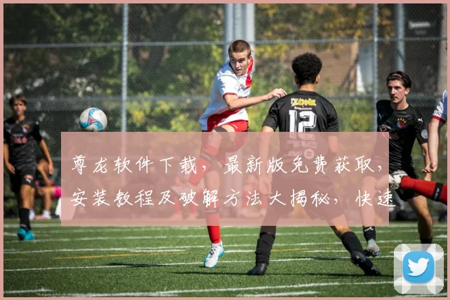 尊龙软件下载，最新版免费获取，安装教程及破解方法大揭秘，快速上手