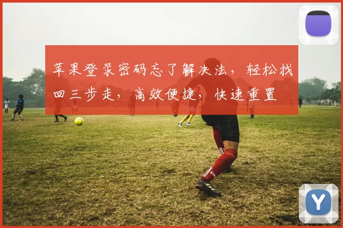 苹果登录密码忘了解决法，轻松找回三步走，高效便捷，快速重置