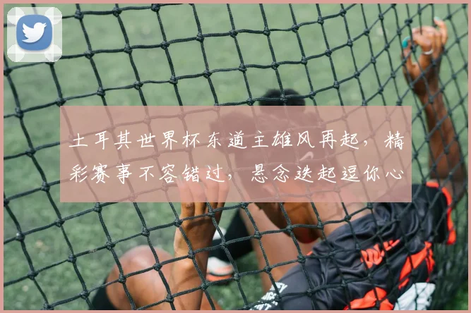 土耳其世界杯东道主雄风再起，精彩赛事不容错过，悬念迭起逗你心跳