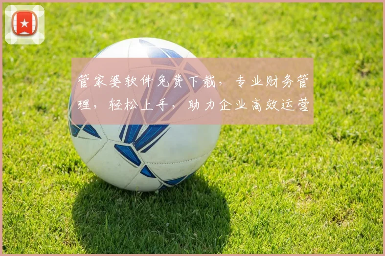 管家婆软件免费下载，专业财务管理，轻松上手，助力企业高效运营，不容错过